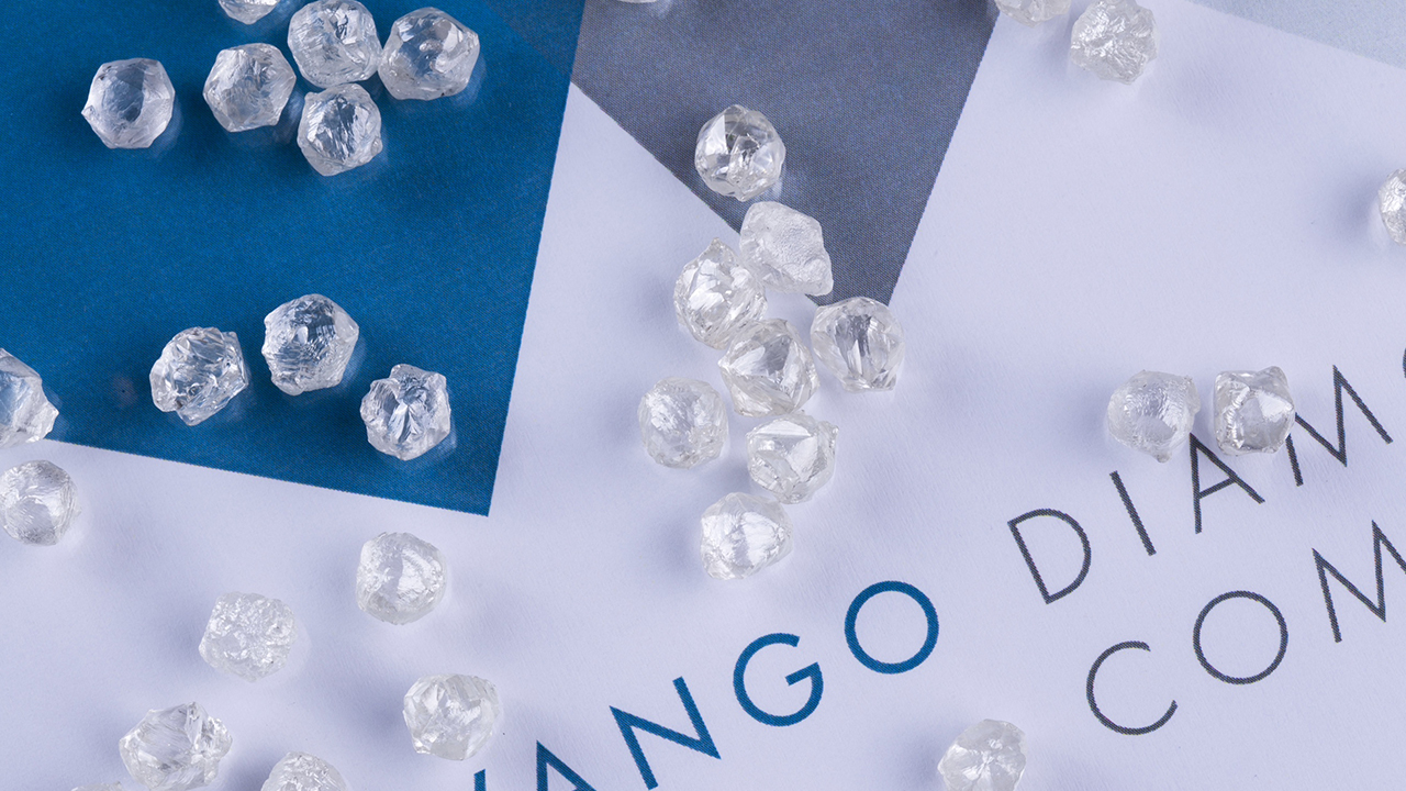 Rough diamonds Okavango image